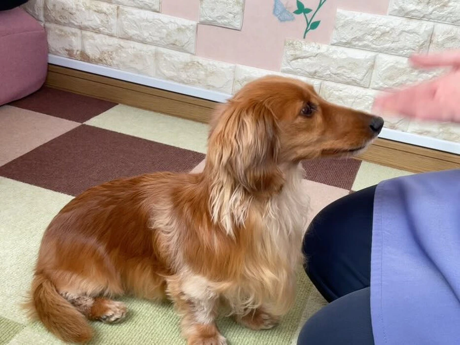 画像334