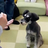 画像349