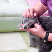 画像456